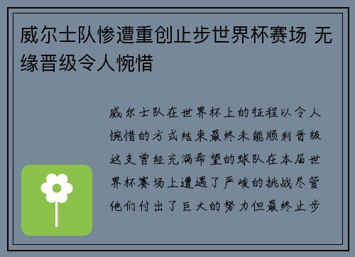 威尔士队惨遭重创止步世界杯赛场 无缘晋级令人惋惜