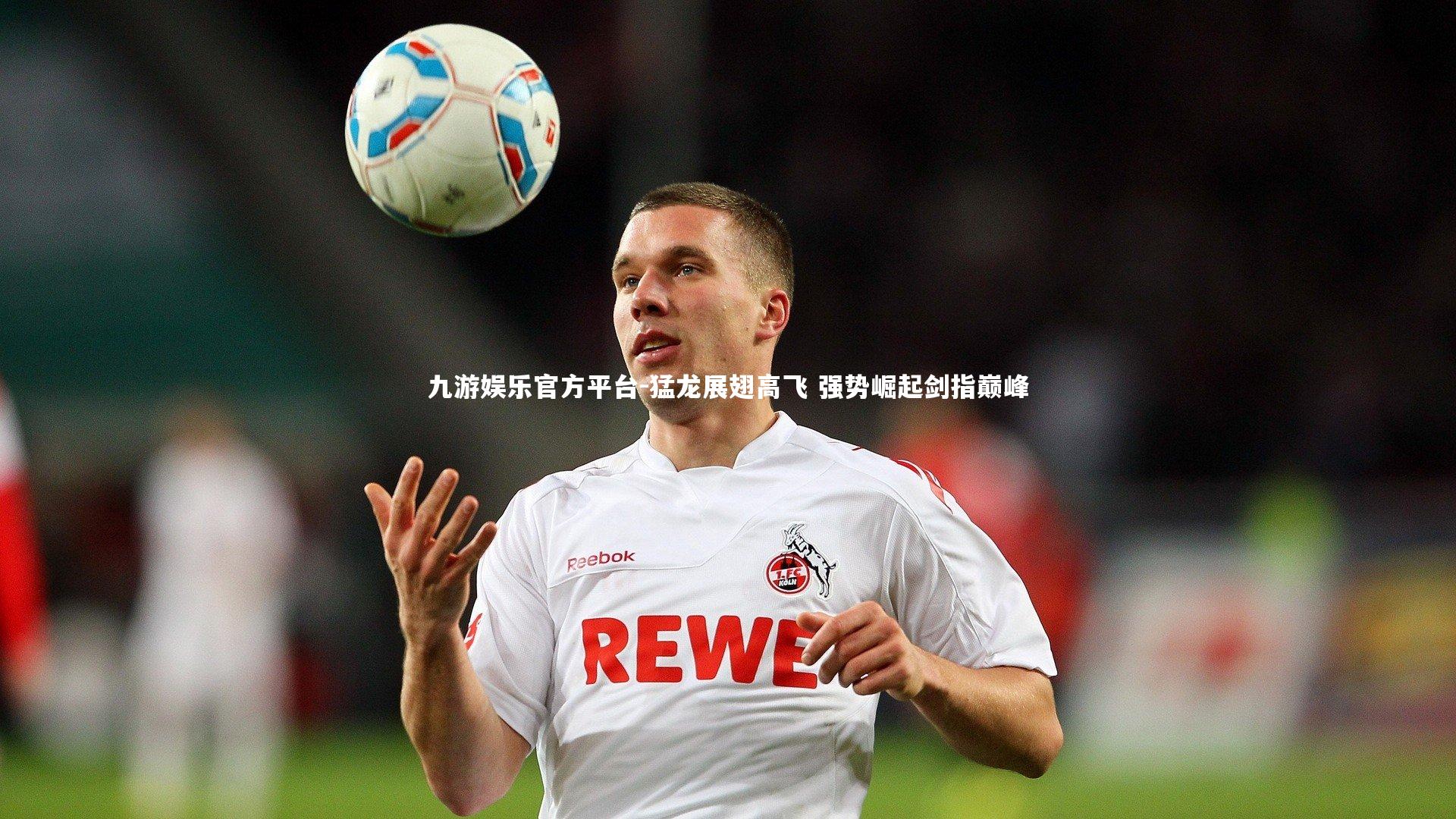 九游娱乐官方平台-猛龙展翅高飞 强势崛起剑指巅峰